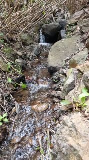 2024-01-GranCan-Barranco_de_los_Cernicalos-079.jpg